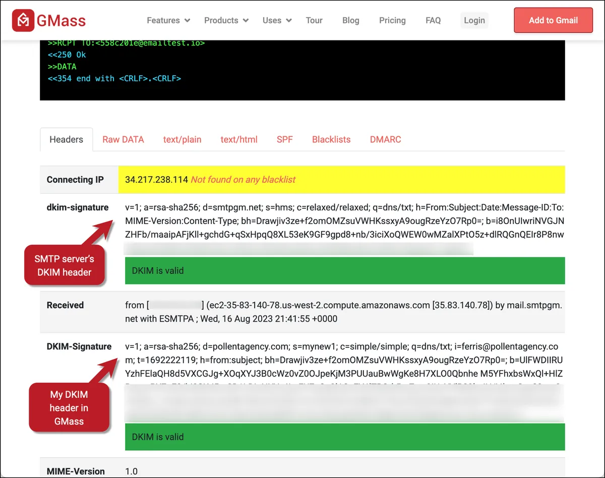 Find your DKIM headers in the Email Analyzer report