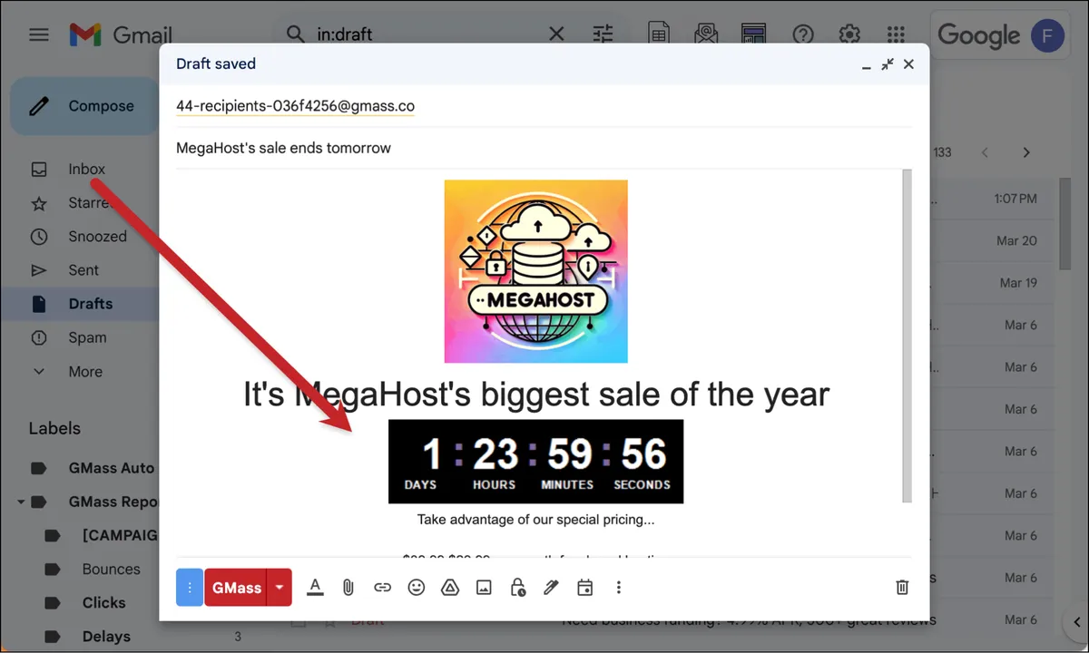 The email countdown timer appears in the email