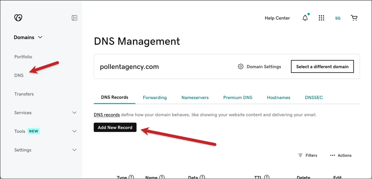 Add a new domain record