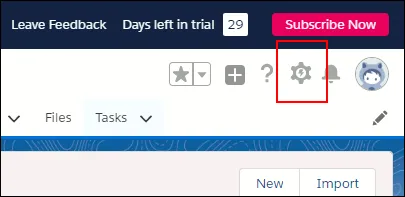 The Salesforce Setup icon is shown.