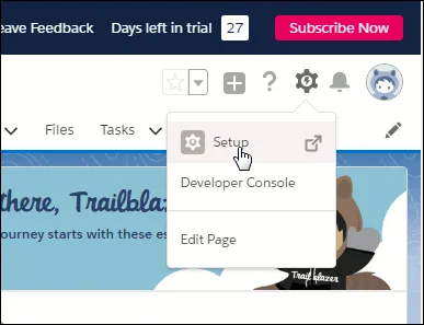 Shows clicking on Setup from within the small dropdown menu.
