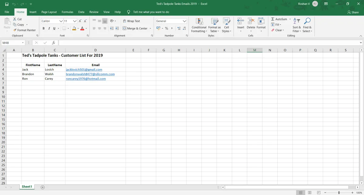 shows an excel sheet