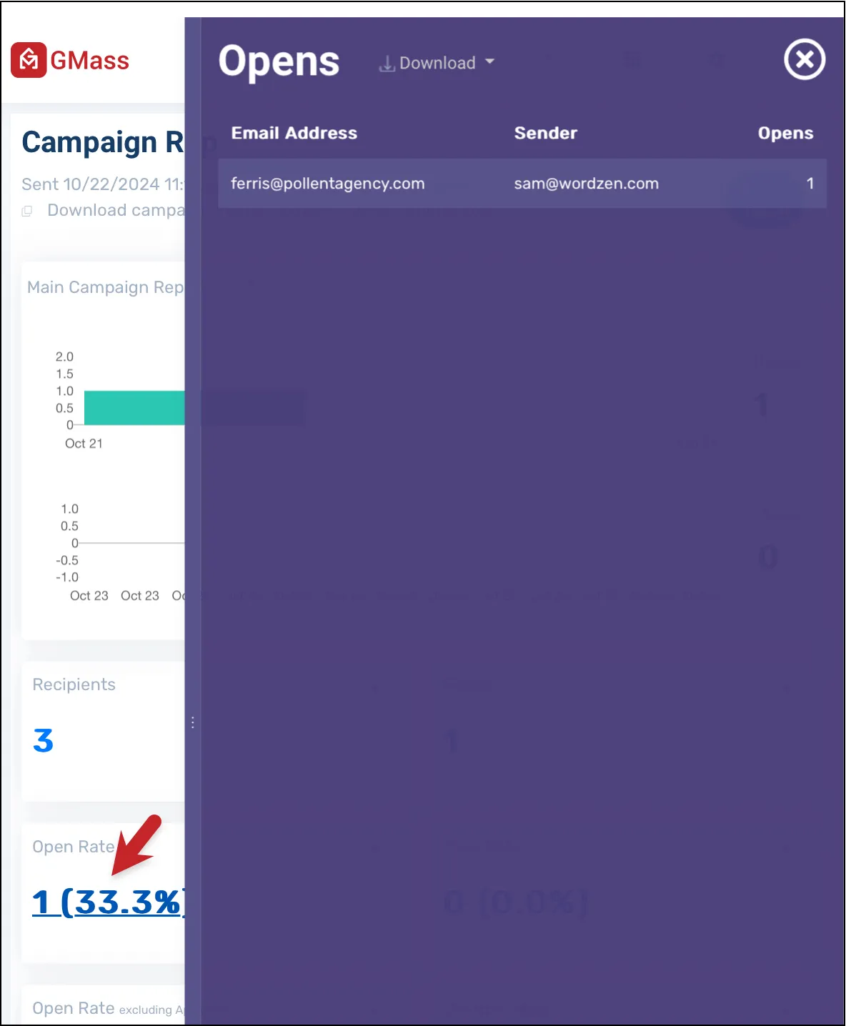 The flyout with details in the campaigh report