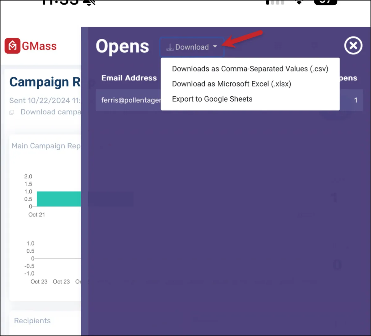Download campaign reports