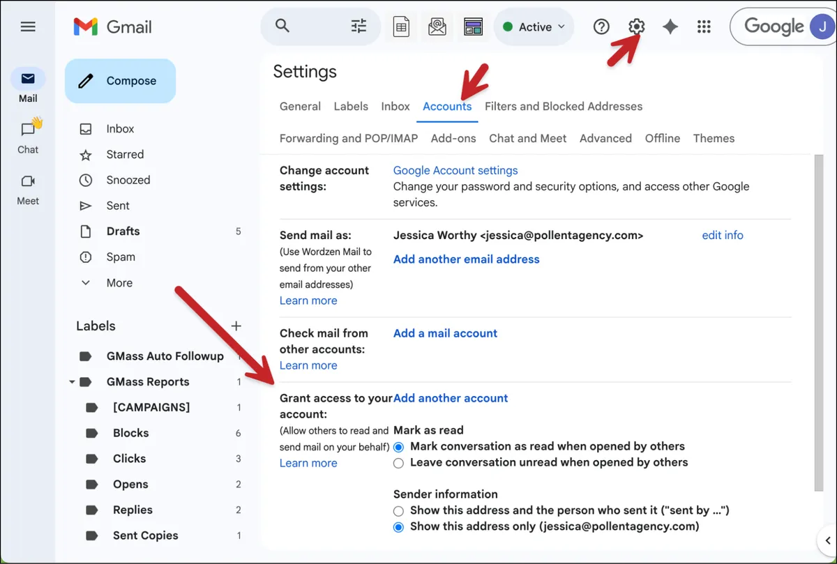 Grant access to the boss's account