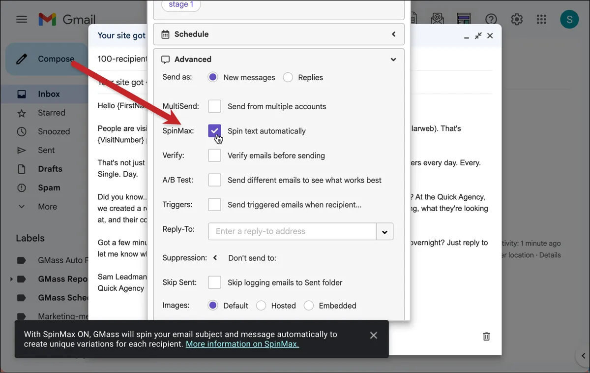 How to use SpinMax in the GMass settings box