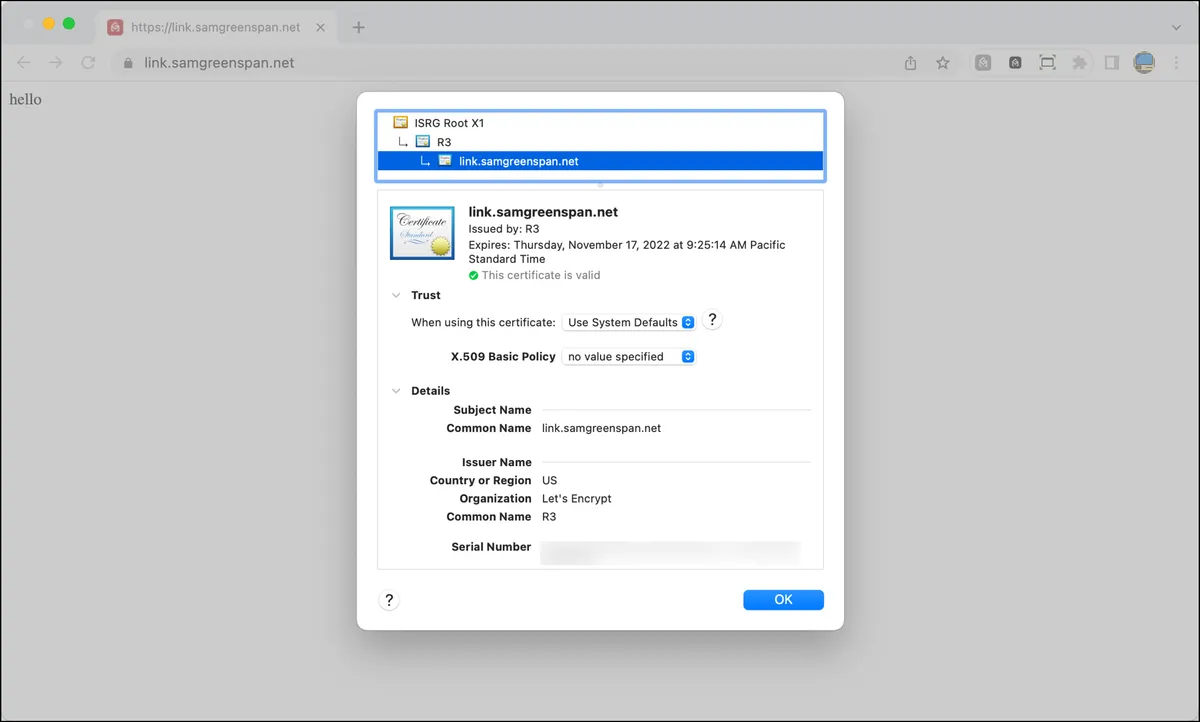 My SSL certificate details