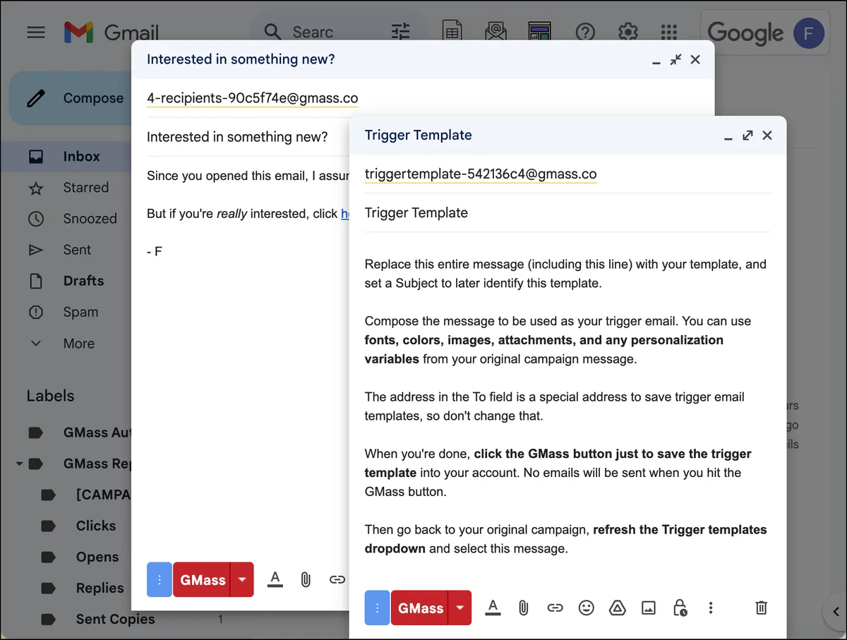 Write your triggered email template
