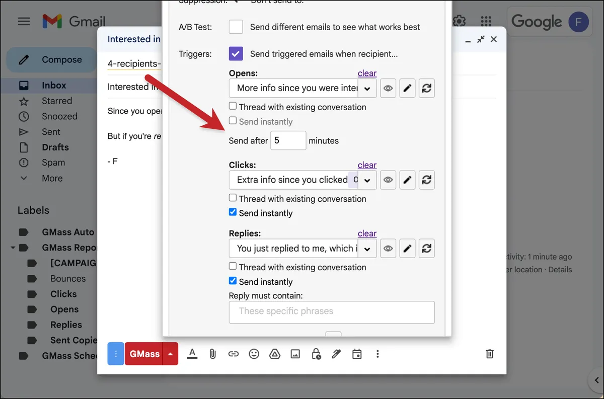 Adding a delay to a triggered email